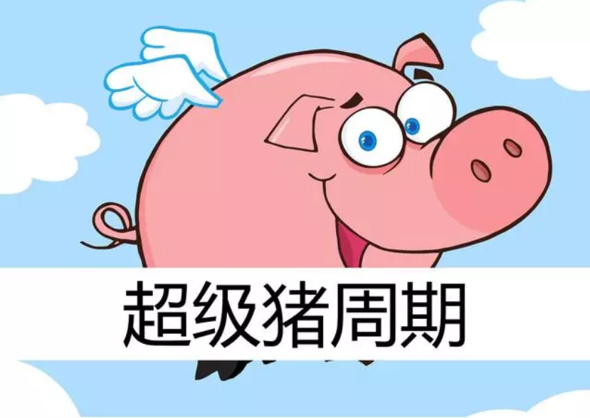 2019年下半年豬價(jià)預(yù)測(cè)：7、9月兩次大漲，第四季度將達(dá)到頂峰
